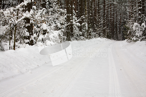 Image of Road to wood (winter)