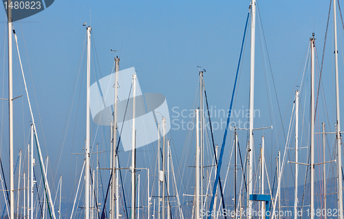 Image of sailboat masts in a marina