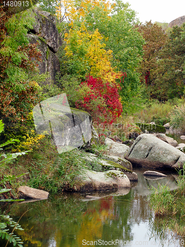 Image of autumn