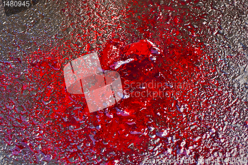 Image of Blood On the Asphalt