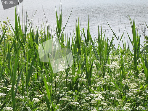 Image of at the lake