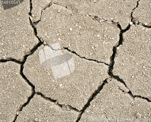 Image of Crack soil texture as ecocatastrophe background 