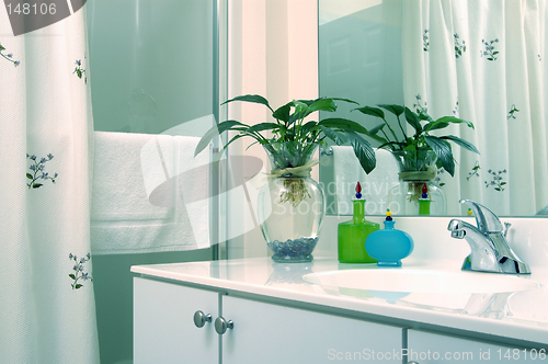 Image of bathroom with plant