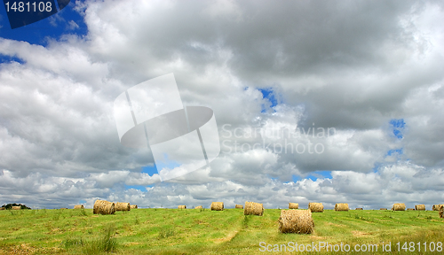 Image of Hay field