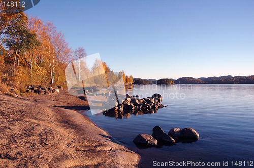 Image of Autumn