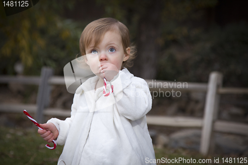 Image of Adorable Baby Girl Playing in Park