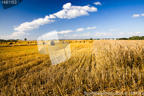 Image of Cleaning of cereals