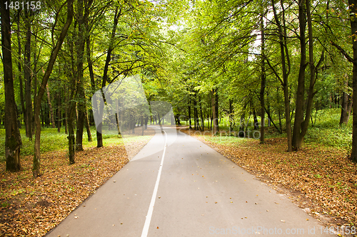 Image of Road to park