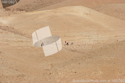 Image of Bedouins in Judea desert