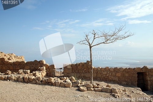 Image of Masada fortress, Israel