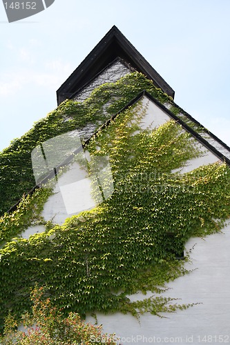 Image of green wall