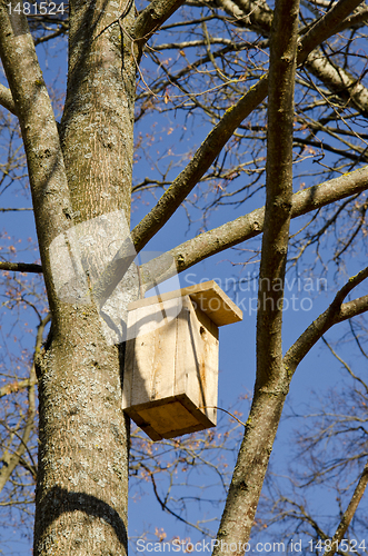 Image of Nesting-box for bird nailed hanging on tree branch