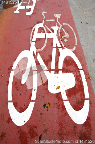 Image of Bicycle path crosses carriageway road section.