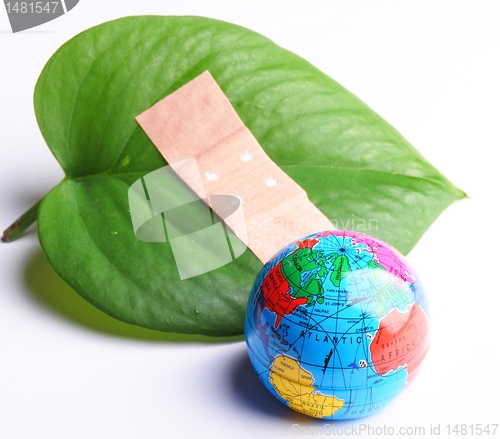 Image of ecology concept
