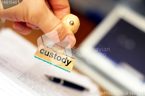 Image of custody