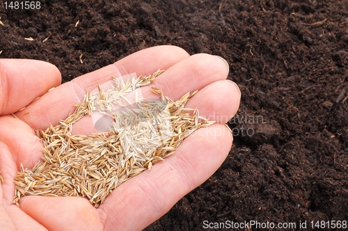 Image of hand sowing seed