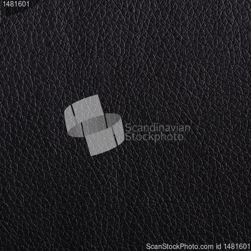 Image of leather texture