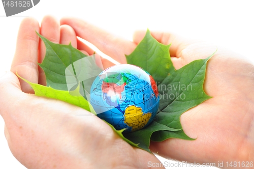 Image of globe in hand