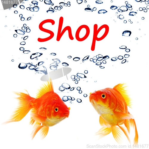 Image of shopping