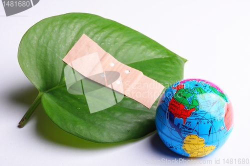 Image of ecology