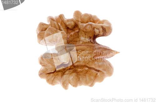 Image of Unshelled nut