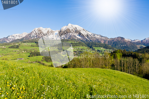 Image of alpine landscape