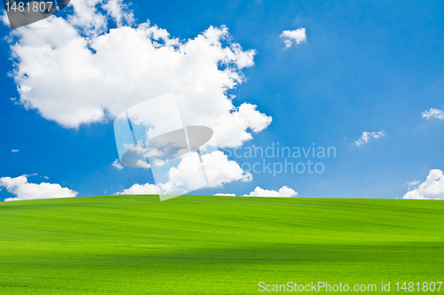 Image of green field