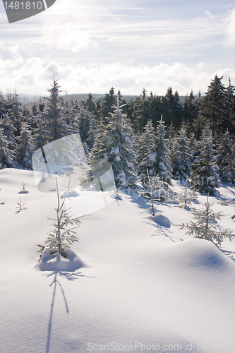 Image of fresh snow in the mountains