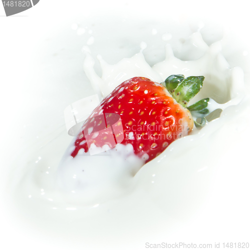 Image of strawberry splashing into milk