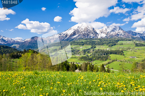 Image of alpine landscape