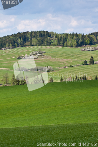 Image of green field