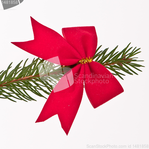 Image of decorated Christmas tree branch