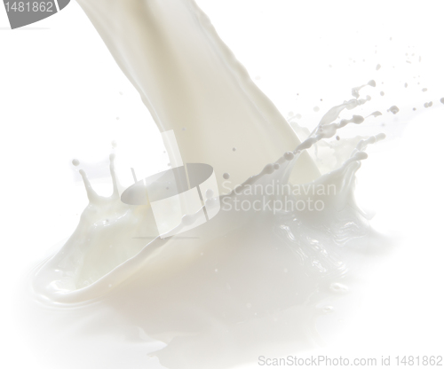 Image of milk splash