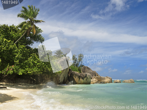 Image of tropical beach