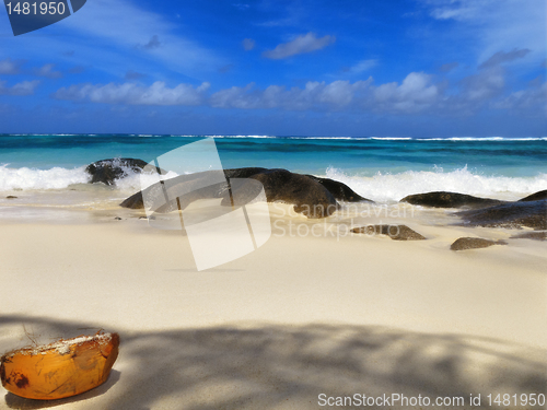 Image of Tropical beach