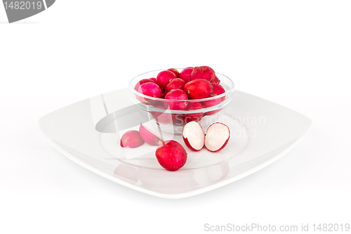 Image of Radish on white background..