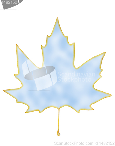 Image of sky in a maple leaf