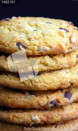 Image of Close up of delicious chocolate cookies