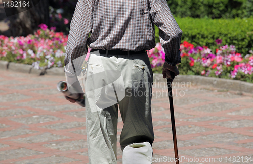 Image of Portrait of senior man walking  in park 