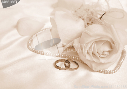 Image of Wedding rings and roses