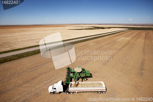 Image of Aerial Harvest on the Prairie