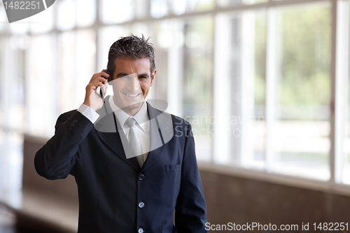 Image of Businessman Talking on Cell Phone
