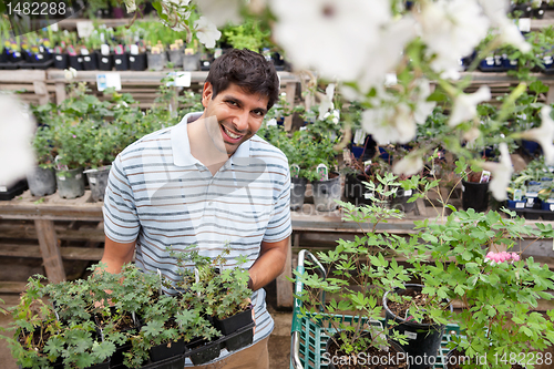 Image of Man holding rack of potted plants