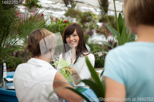 Image of Garden Center Cashier Line