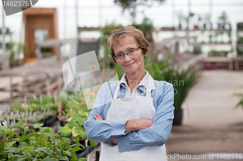 Image of Senior Greenhouse Owner