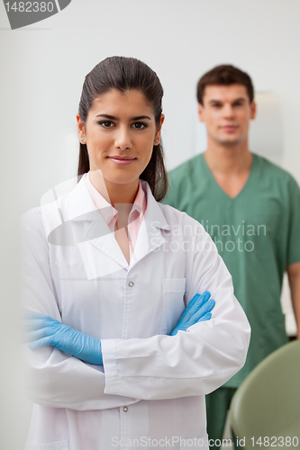 Image of Confident female dentist