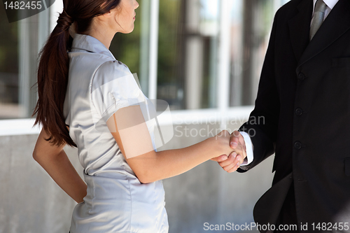 Image of Businesspeople Shaking Hands