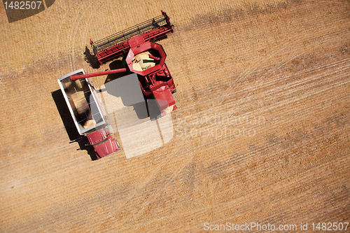 Image of Grain Truck and Harvester