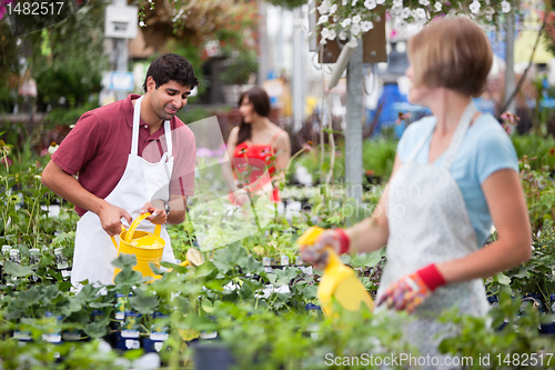 Image of People working at greenhouse