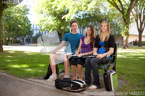 Image of Student Study Group